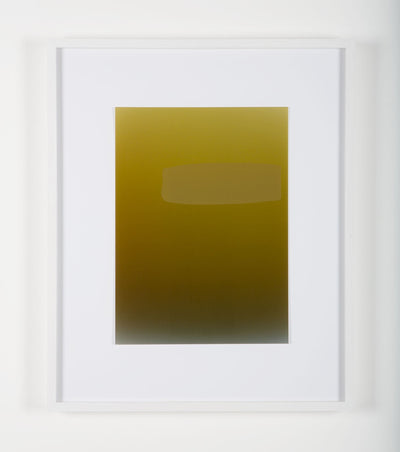 Pieter VERMEERSCH - Untitled (C print et sérigraphie khaki)