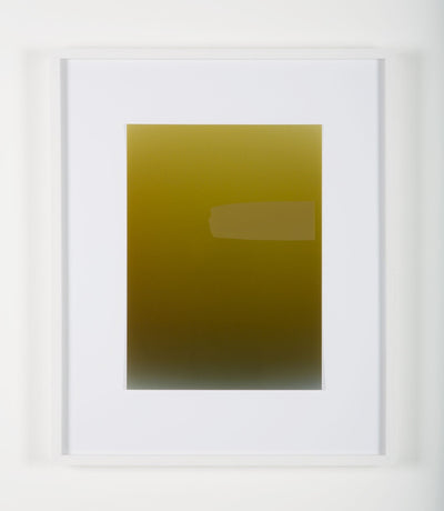 Pieter VERMEERSCH - Untitled (C print et sérigraphie khaki)