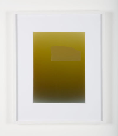 Pieter VERMEERSCH - Untitled (C print et sérigraphie khaki)