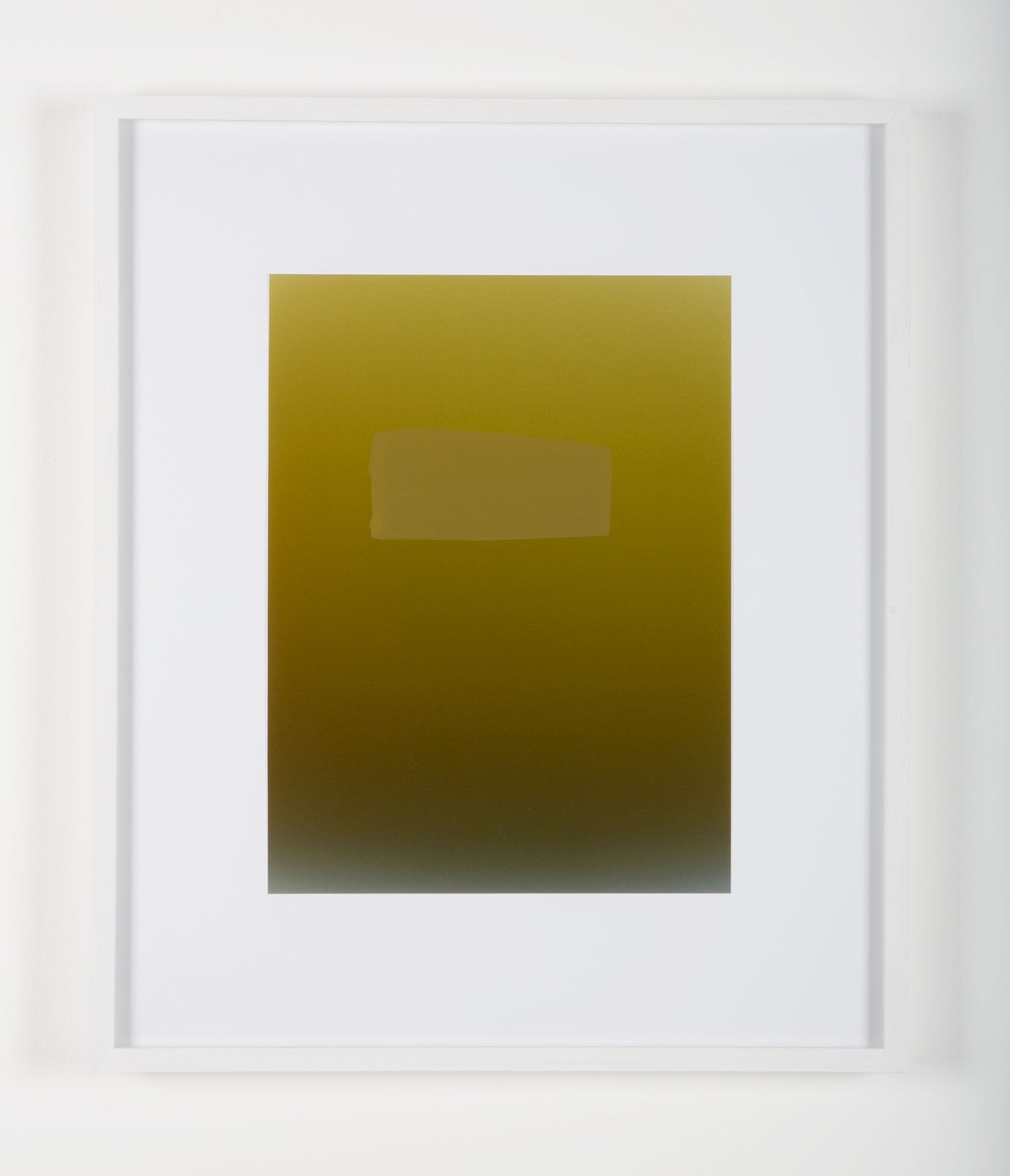 Pieter VERMEERSCH - Untitled (C print et sérigraphie khaki)
