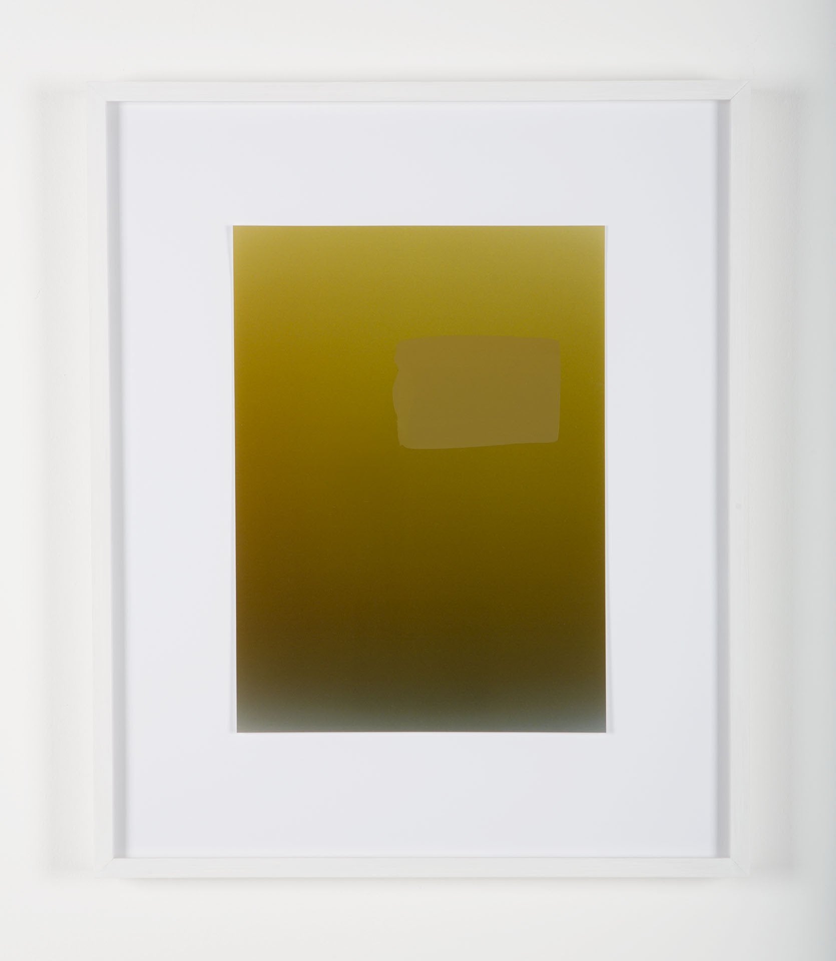 Pieter VERMEERSCH - Untitled (C print et sérigraphie khaki)