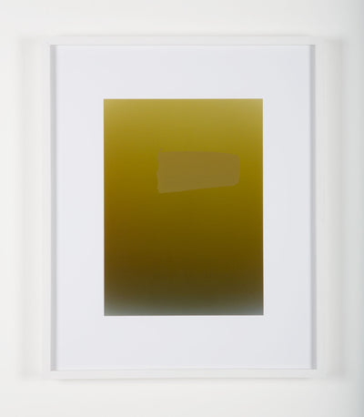 Pieter VERMEERSCH - Untitled (C print et sérigraphie khaki)