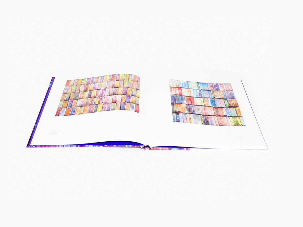 Bernard Frize - Catalogue Lund humphries