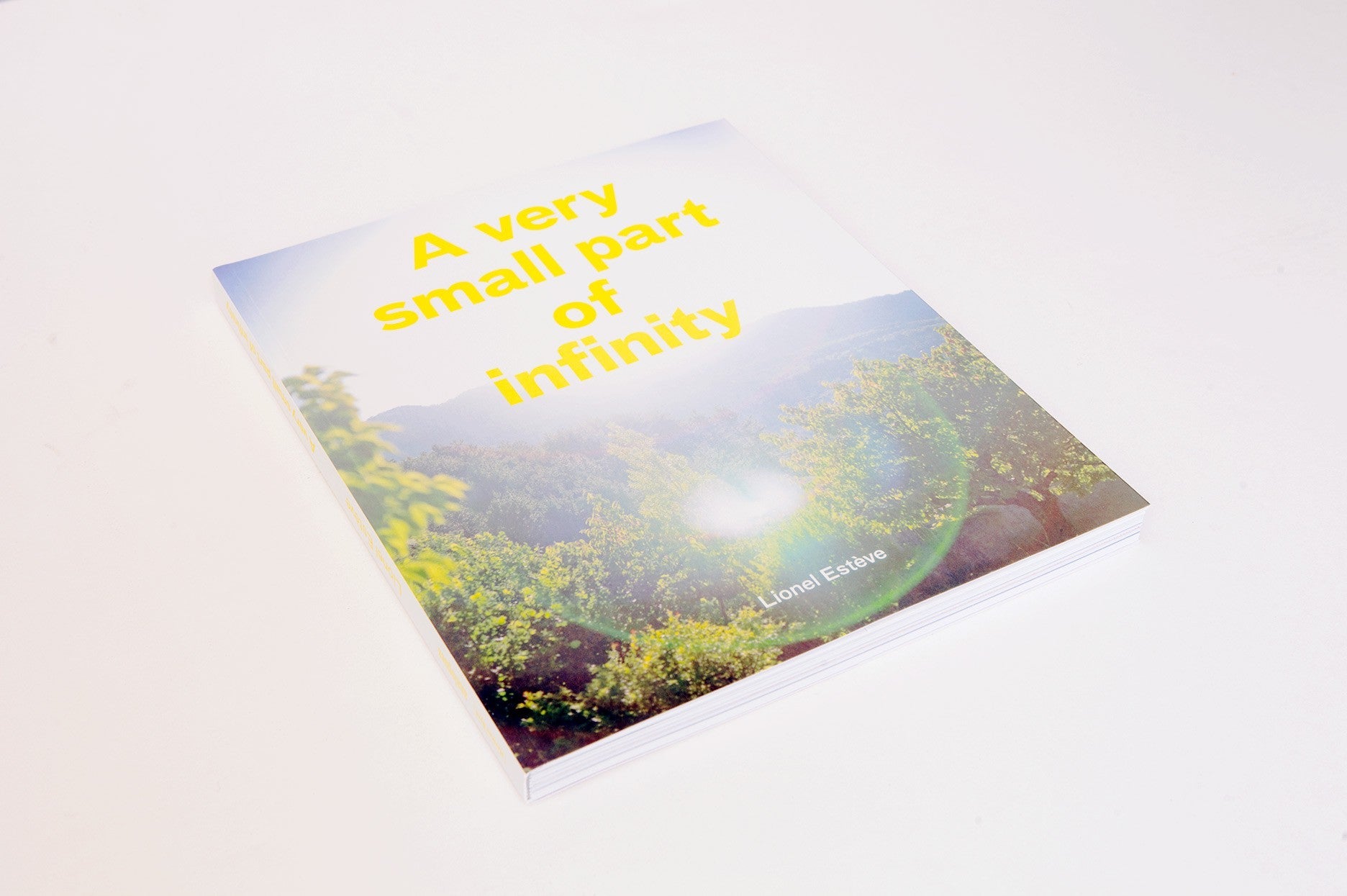 Lionel ESTEVE - Une toute petite partie de l'infini