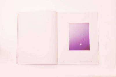 Pieter Vermeersch - Galerie Perrotin