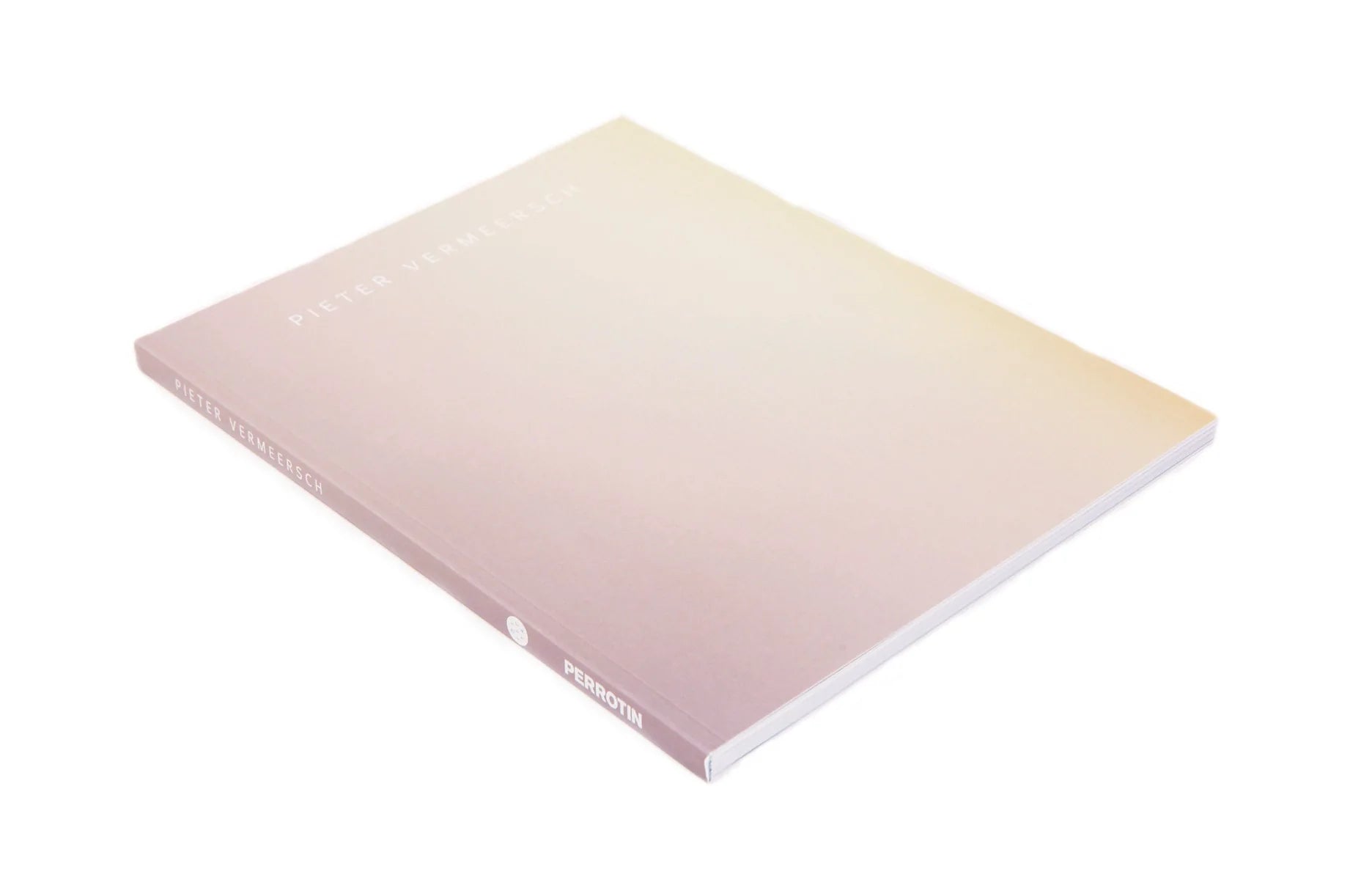 Pieter Vermeersch - Galerie Perrotin