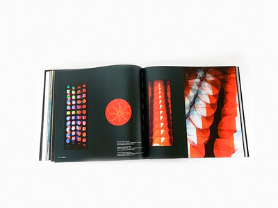 Julio Le Parc - Monographie Exils 2019