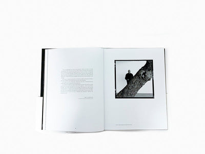 Pierre Soulages - Soulages au Louvre