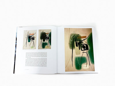 Pierre Wat - Hans Hartung La peinture pour mémoire