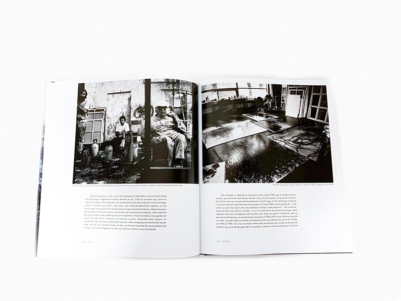 Pierre Wat - Hans Hartung La peinture pour mémoire