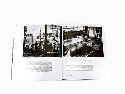 Pierre Wat - Hans Hartung La peinture pour mémoire