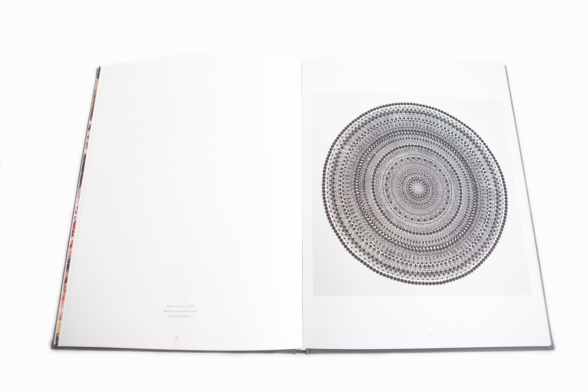 Bharti Kher - Anomalies