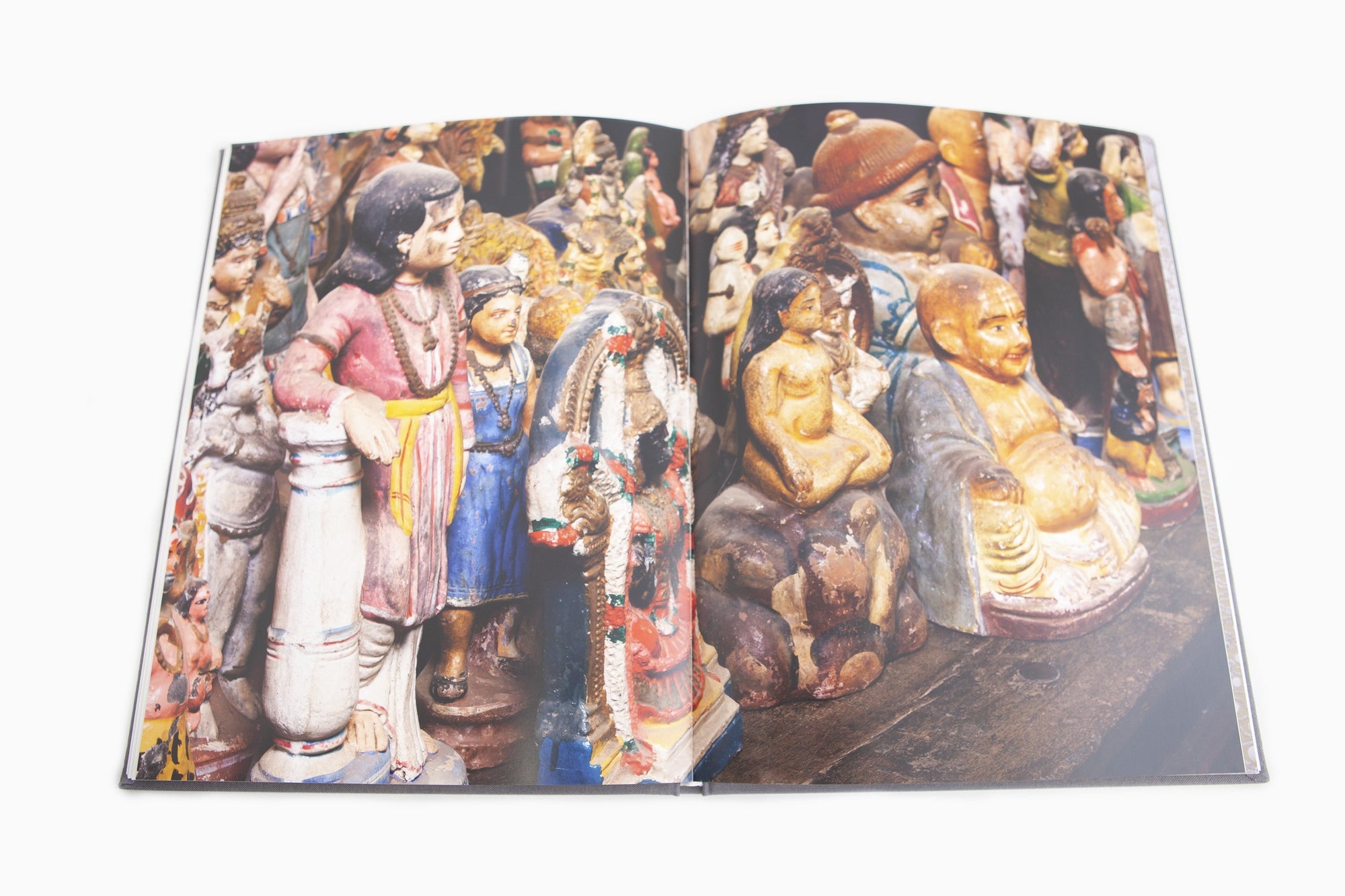 Bharti Kher - Anomalies