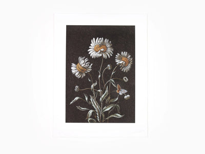 Laurent Grasso - Daisy