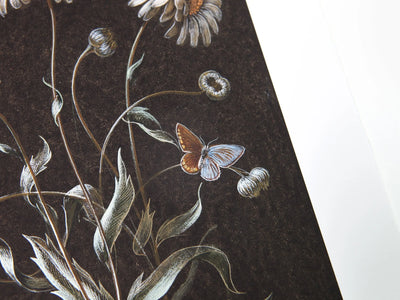 Laurent Grasso - Daisy