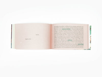 Sophie Calle - Sans Lui (édition de tête)