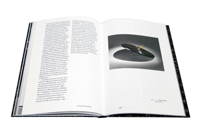 Gregor Hildebrandt - Saarlandmuseum - Sterne Streifen die Fluten