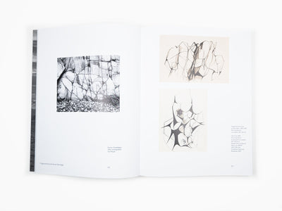 Anna-Eva Bergman - Voyage vers l'intérieur