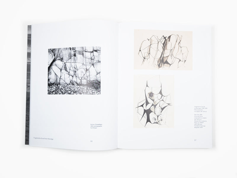 Anna-Eva Bergman - Voyage vers l'intérieur