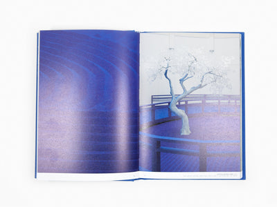 Daniel Arsham - Moonraker Time Dilation