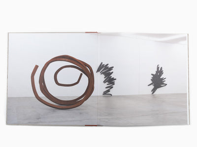 Bernar Venet - Ceysson