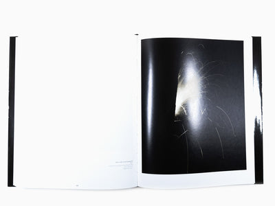 Bernar Venet - Photographies