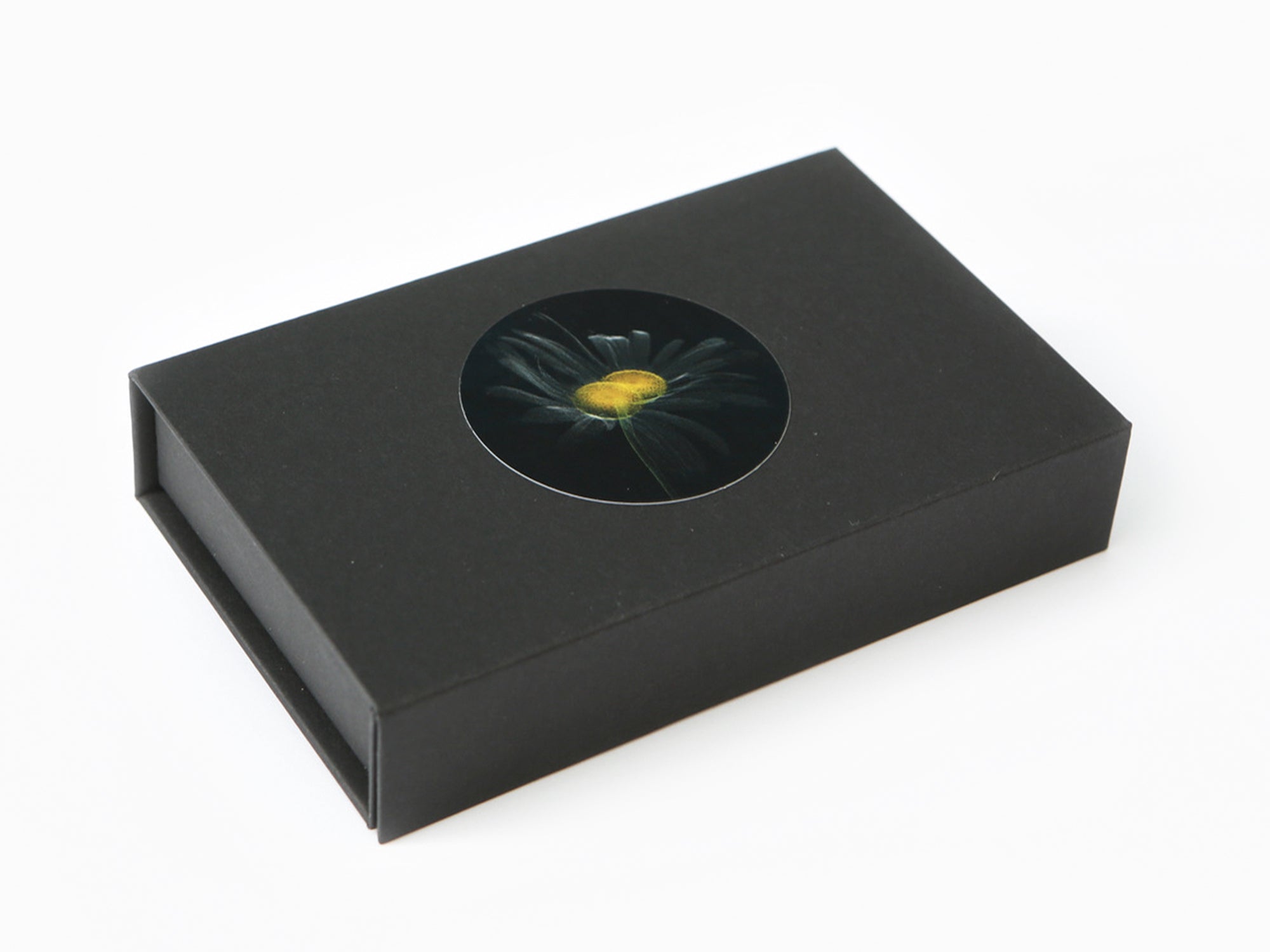 Laurent Grasso - Future Herbarium (broche marguerite)