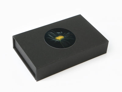 Laurent Grasso - Future Herbarium (broche marguerite)