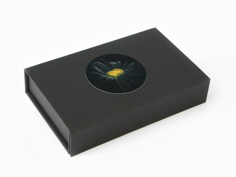 Laurent Grasso - Future Herbarium (broche marguerite)