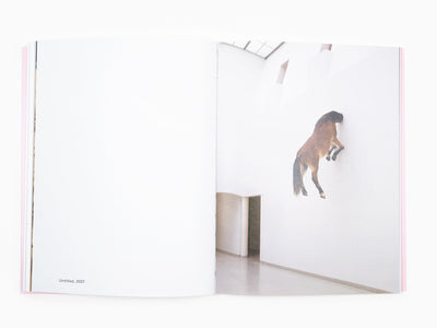 Maurizio Cattelan - 2000 mots