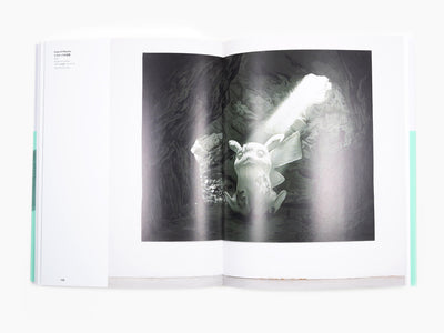 Daniel Arsham - Arsham's Pokédex