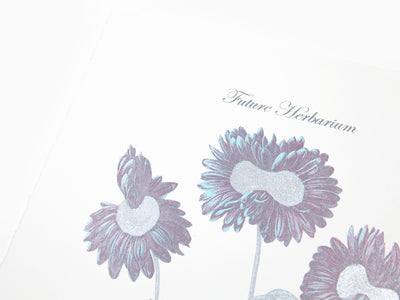 Laurent Grasso - Herbier du futur, Gerbera (bleu et argent)