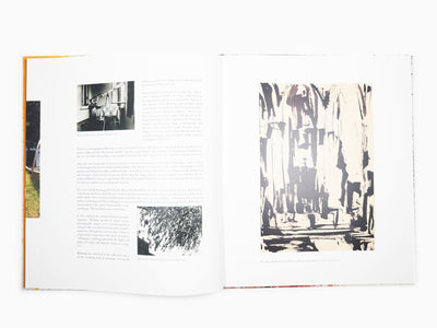 Hans Hartung - Les dernières peintures 1989