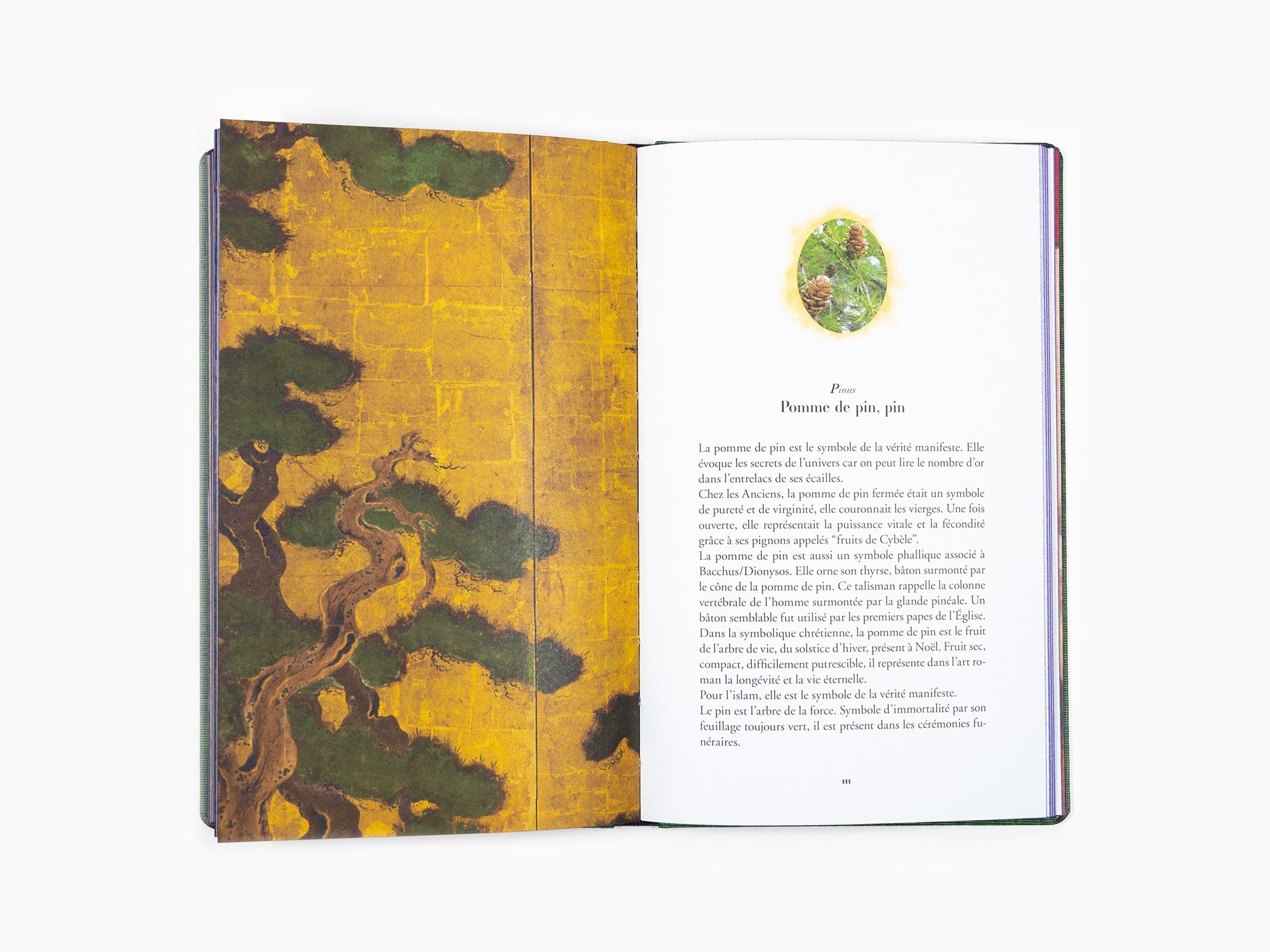 Jean-Michel Othoniel - L'herbier merveilleux notes sur le sens caché des fleurs dans la peinture