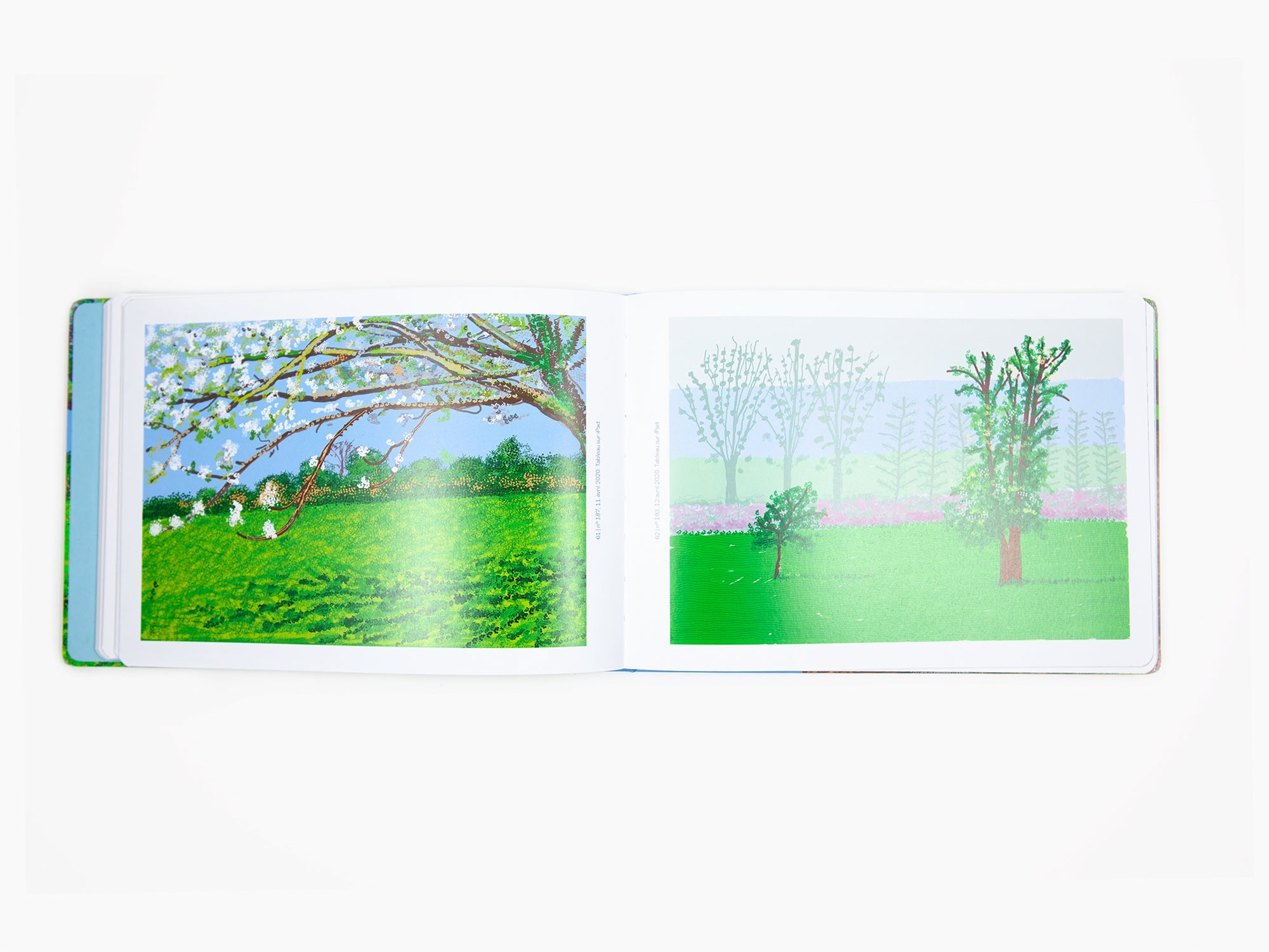 David Hockney - L'arrivée du printemps, Normandie, 2020