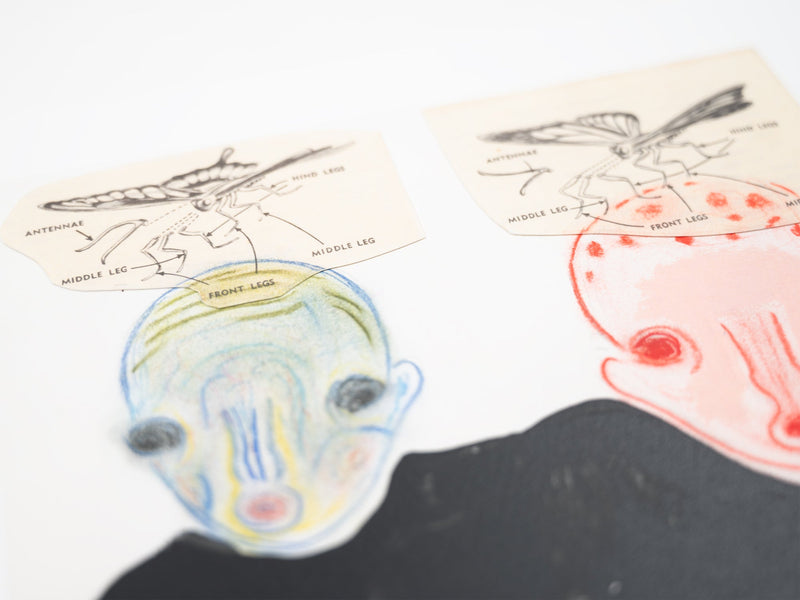 Izumi Kato - "Visible" Leporello (Special Edition Boy)