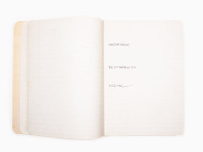 Jean-Michel Basquiat - Les carnets