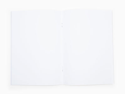 JR - Cahier de notes - Homélie au pays, Alan