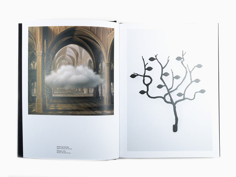 Laurent Grasso - Anima