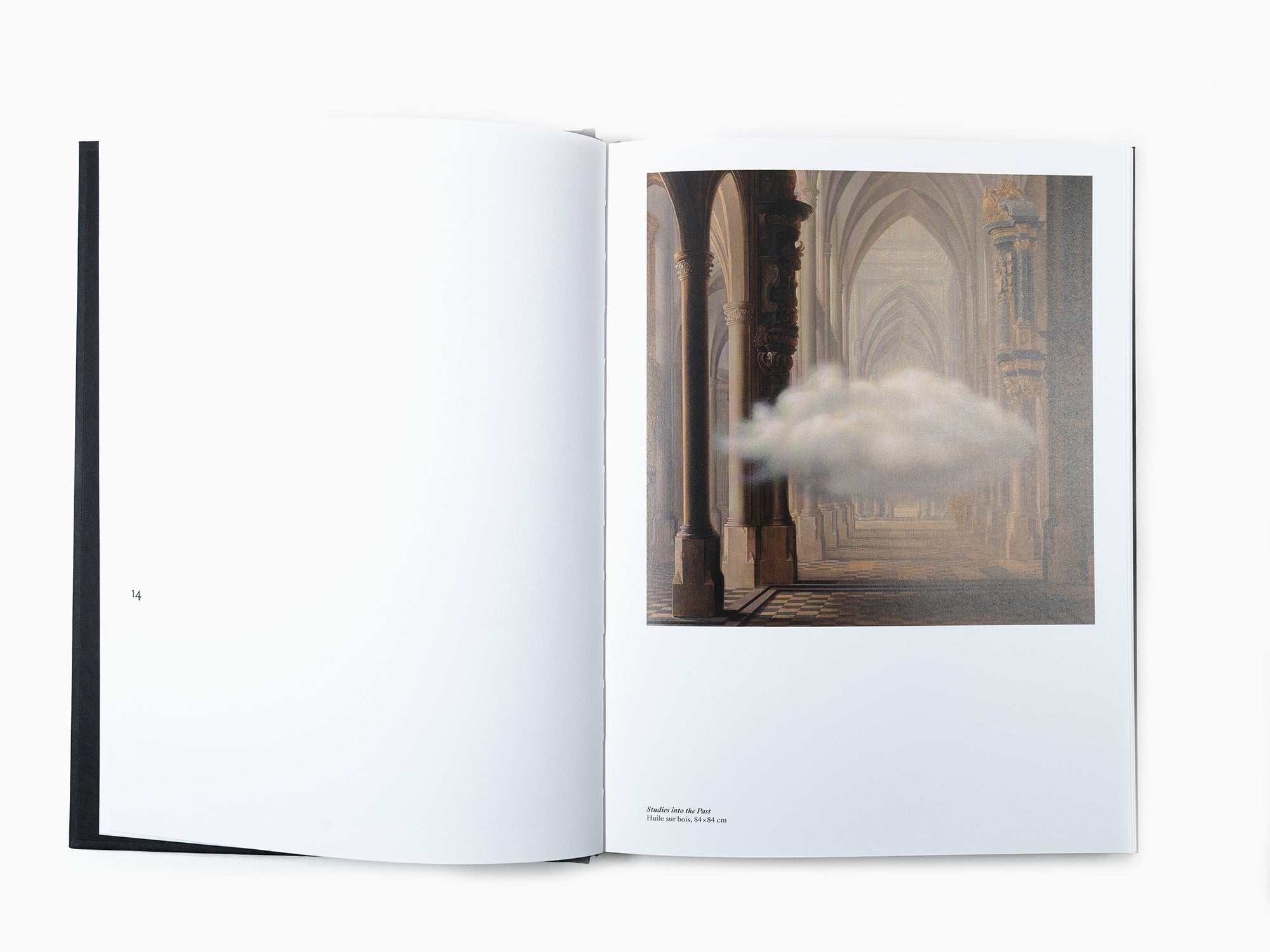 Laurent Grasso - Anima