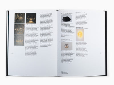 Laurent Grasso - Anima