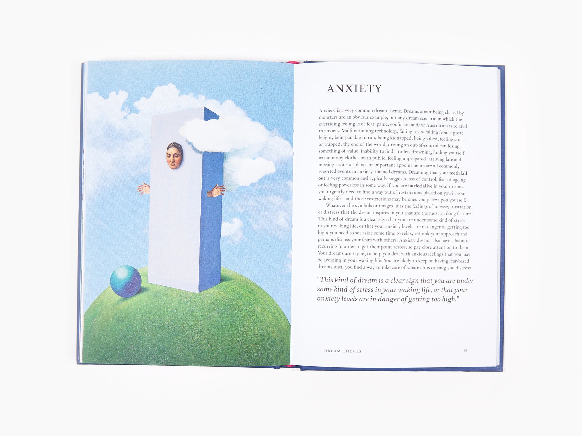 Night Vision - A Field Guide to Your Dreams