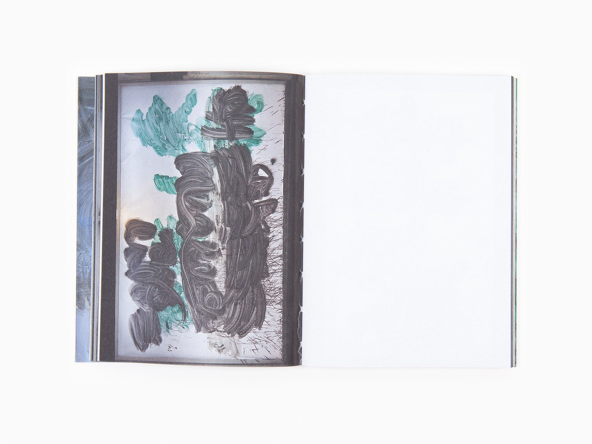 Hans Leo Maes - Rien à voir ici