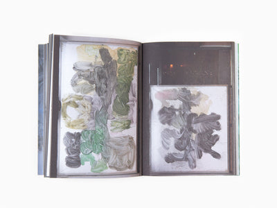 Hans Leo Maes - Rien à voir ici