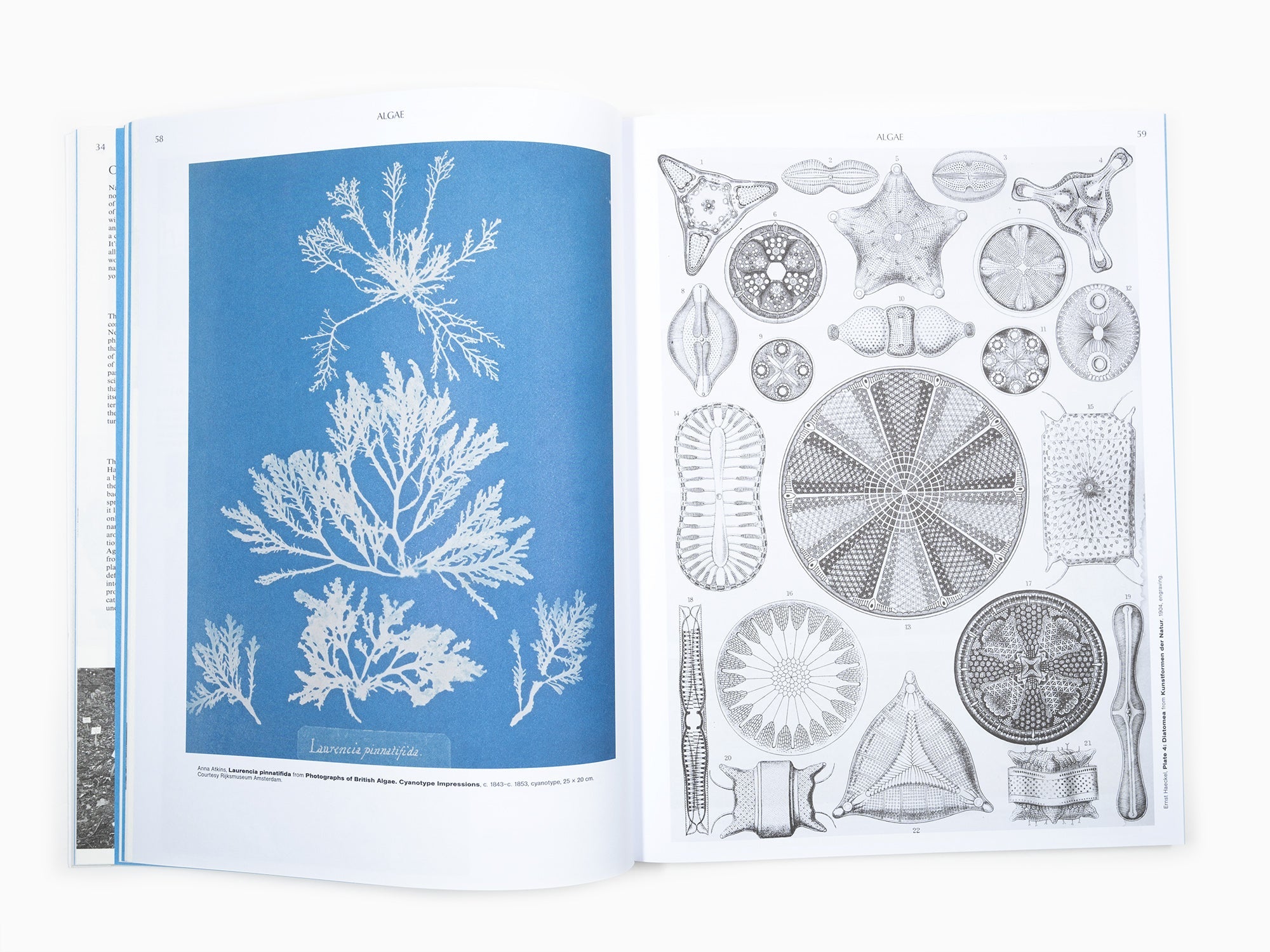 De la nécessité du jardinage - Un art de botanique et de culture