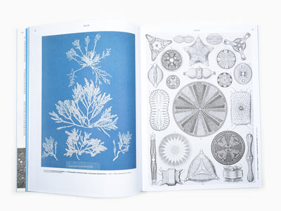 De la nécessité du jardinage - Un art de botanique et de culture