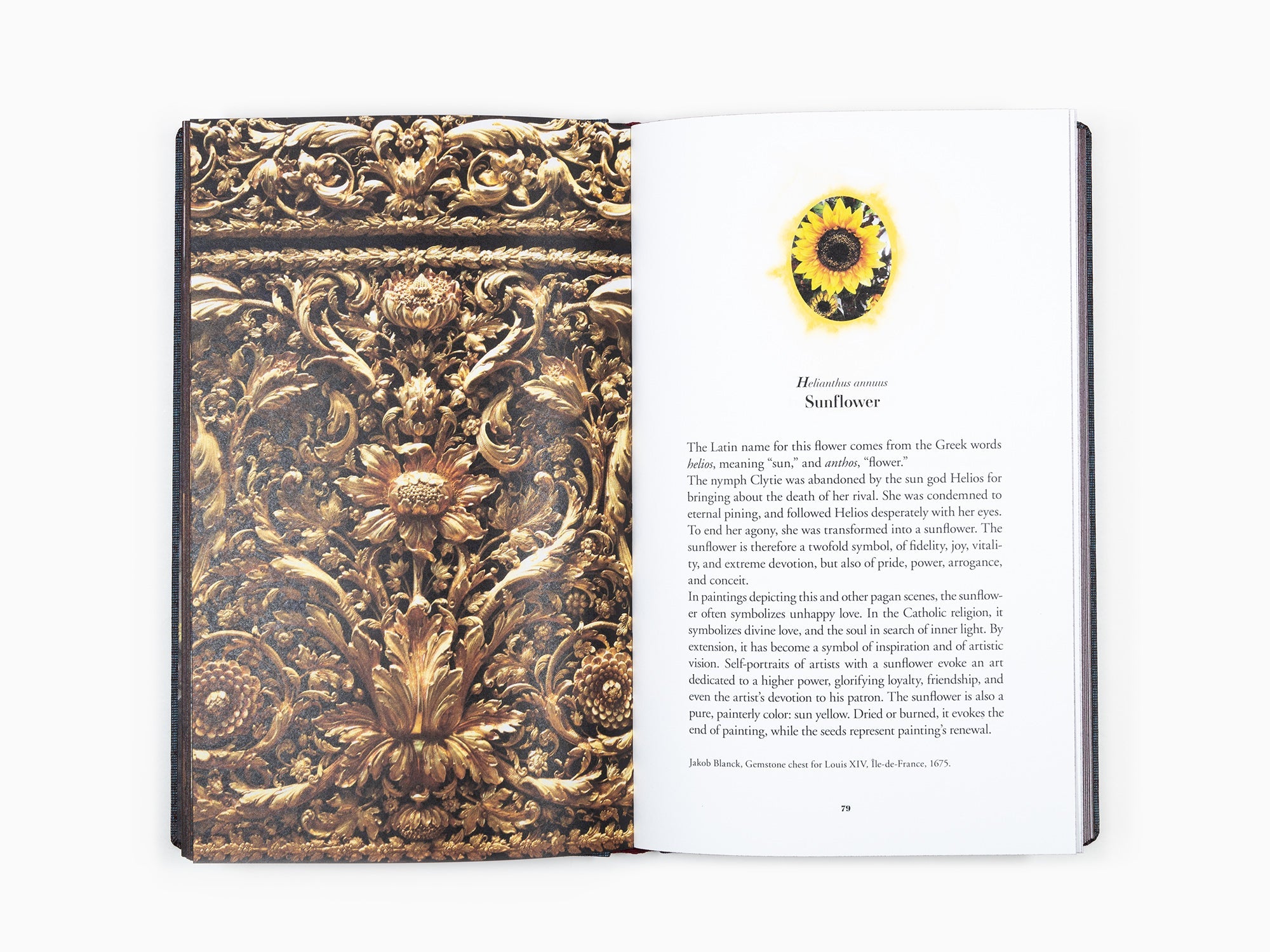 Jean Michel Othoniel - Le langage secret des fleurs (Louvre)