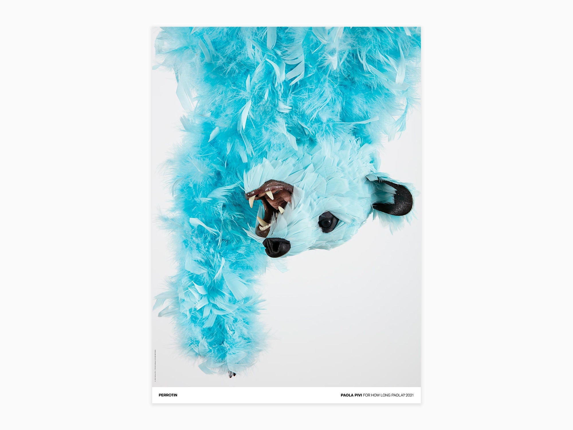 Paola Pivi - For How Long Paola ?, 2021 (standard poster)