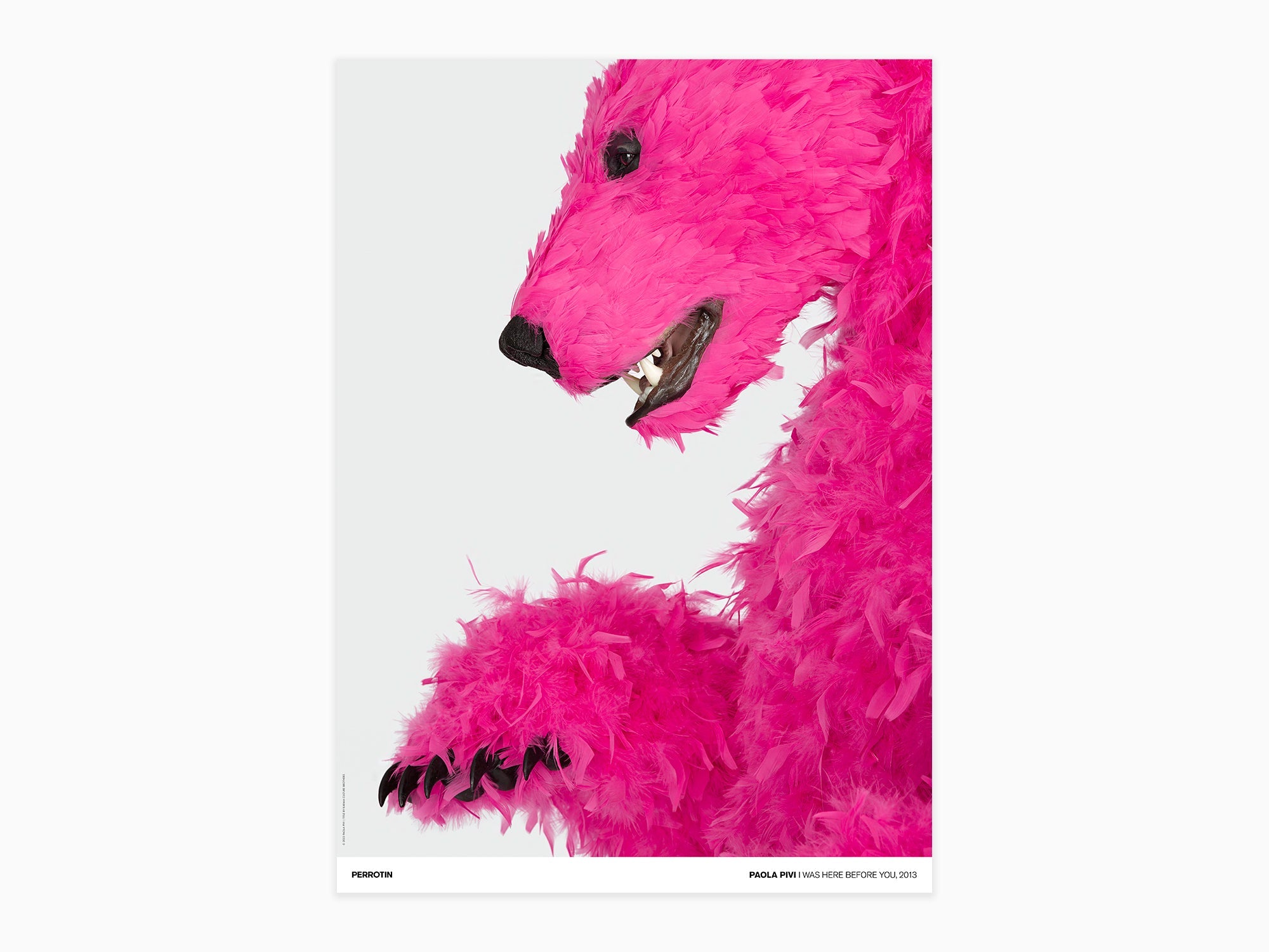 Paola Pivi - I Was Here Before You, 2013 (signé poster)