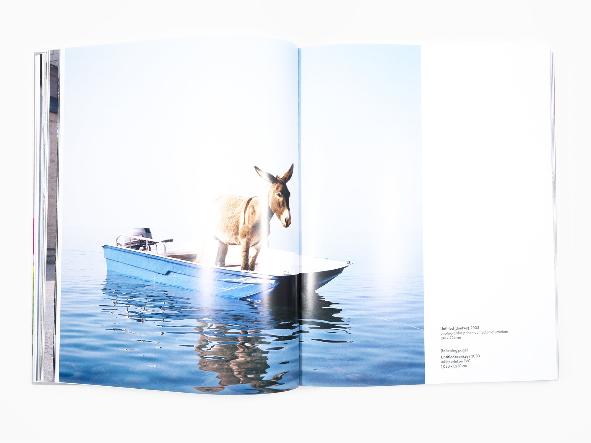 Paola Pivi - monographie (Phaidon)